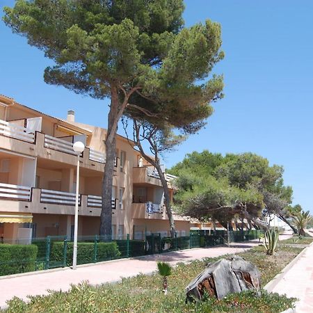 Zeus Guardamar Seaview Lejlighed Miami Playa Eksteriør billede