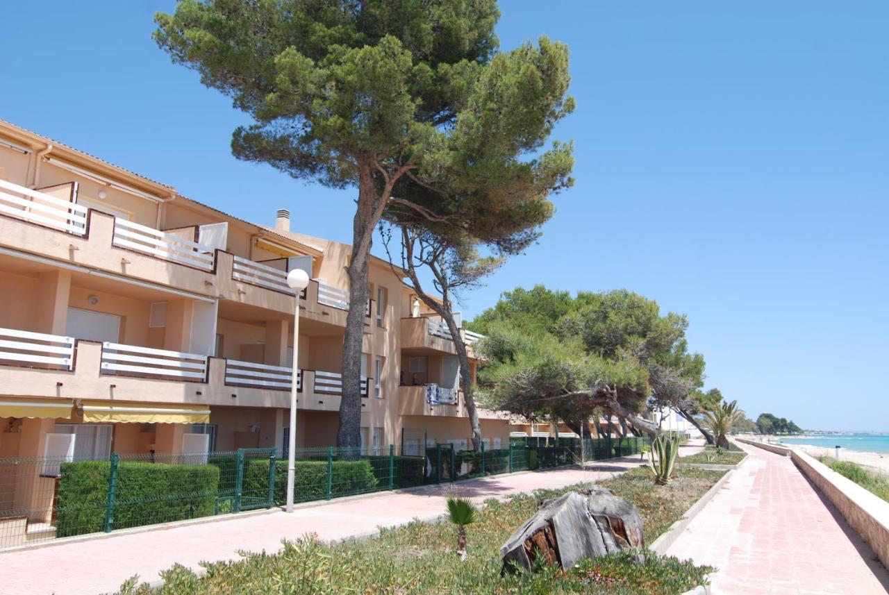 Zeus Guardamar Seaview Lejlighed Miami Playa Eksteriør billede