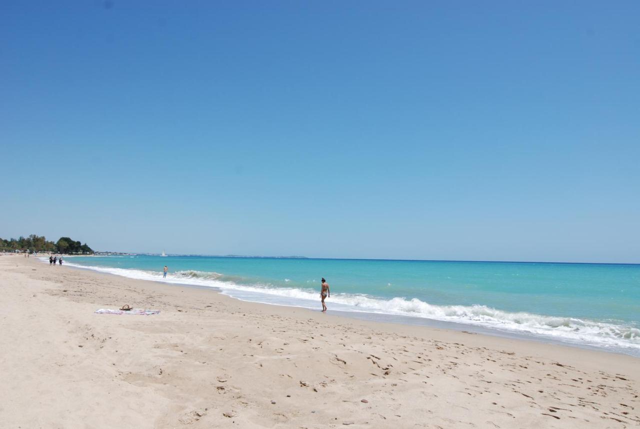 Zeus Guardamar Seaview Lejlighed Miami Playa Eksteriør billede