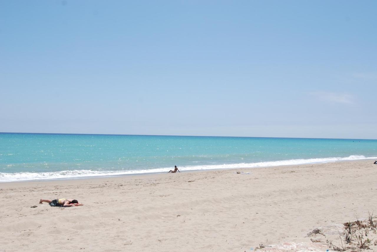 Zeus Guardamar Seaview Lejlighed Miami Playa Eksteriør billede